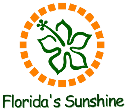 flsun logo